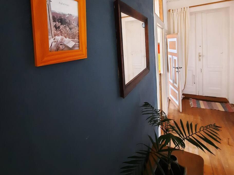 Altbau Charme & Mittendrin Apartment